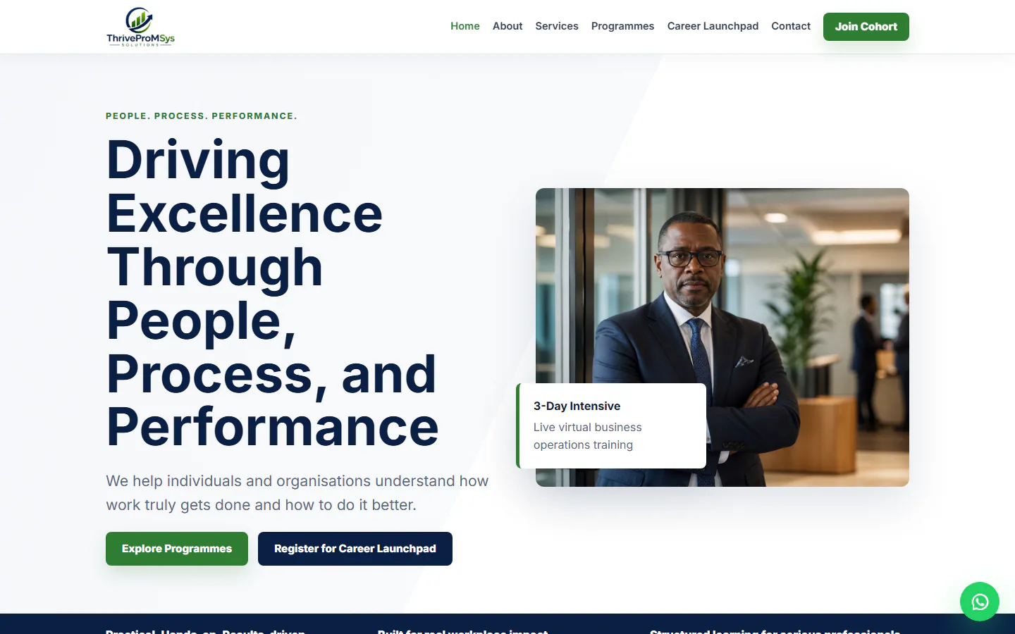 ThriveProMSys Solutions website preview